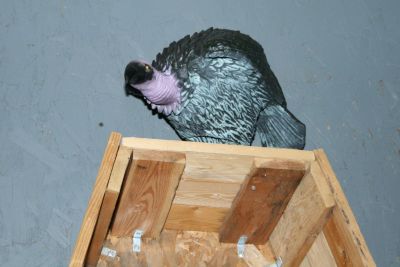 img_0173.jpg