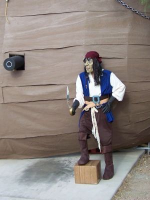 Pirate_Captain_6_-_Ready_to_Sail.jpg