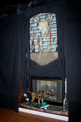 img_0156.jpg