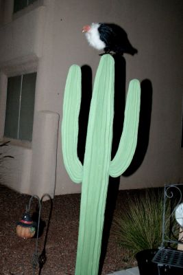 img_0188.jpg