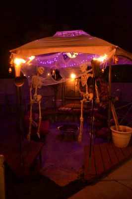dsc_0020.jpg