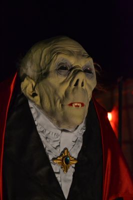dsc_0082_2.jpg