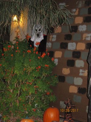 img_5720.jpg