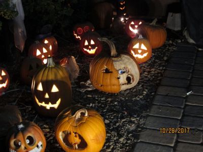 img_5769.jpg